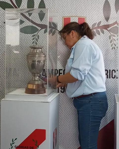 Inventarios Lima Activos Fijos FPF